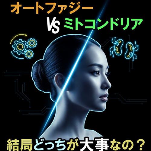 オートファジー VS ミトコンドリア解説セミナー